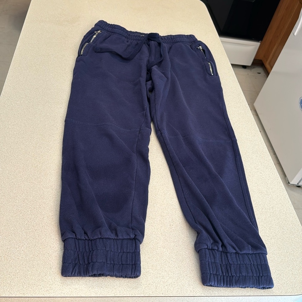 Slate & Stone joggers (navy, M)